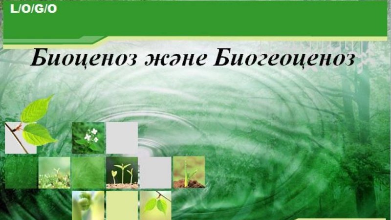 Биогеоценоз слайд,презентация - Биология - Презентация на казахском языке - Қазақша презентация