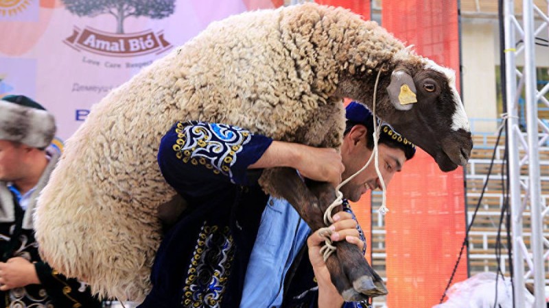 Құйрық бауыр асату: әні, дайындау, дәстүрі