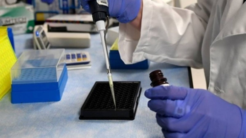 ​Склерозды емдеу әдісі табылды