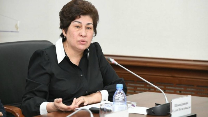 Алматылық студент елорданың атауын өзгертуге қарсы шыққан соң оқудан шығарылған. Министрлік тексеріс жүргізіп жатыр - Қазақстан жаңалықтары