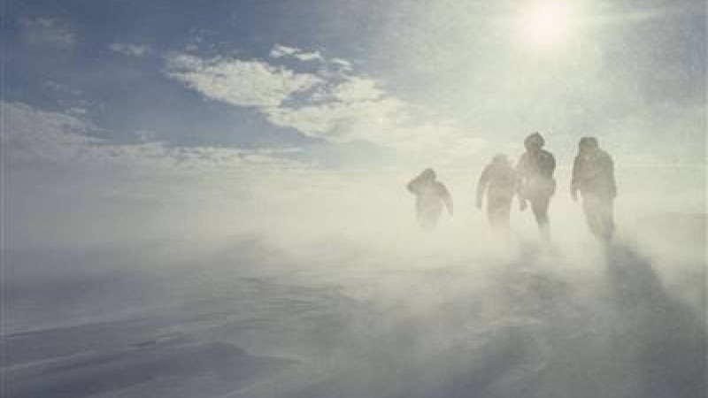 ШҚО-да қасқыр қамаған ауыл тұрғындары құтқарылды