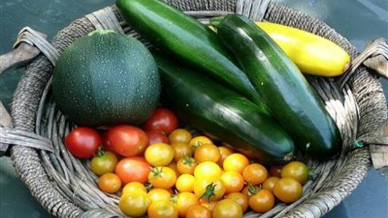 Ғалымдар қатерлі ісікті жоятын жемістер мен көкөністерді атады