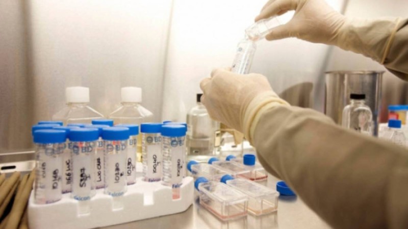 Алматыда Таиландтан келген туристерден Денге безгегі анықталды