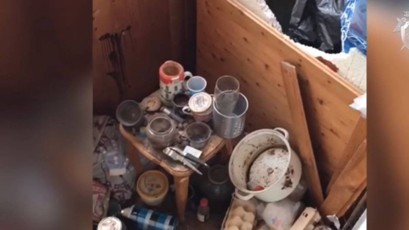 "Алқасы мойнына жабысып қалған": қоқысқа толы пәтерден Маугли қыз табылды