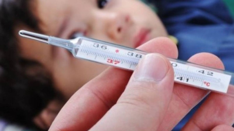 ҰБТ тестер: География 7 сынып 2- тоқсандық бақылау жұмысы (Тест)