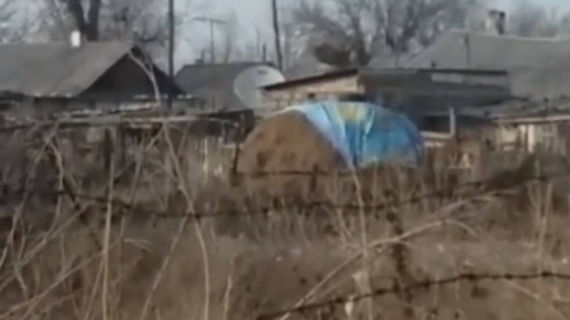 ШҚО-да мемлекеттік ту бейнеленген баннермен шөптің бетін жапқан азамат жазаланбайтын болды - Қазақстан жаңалықтары