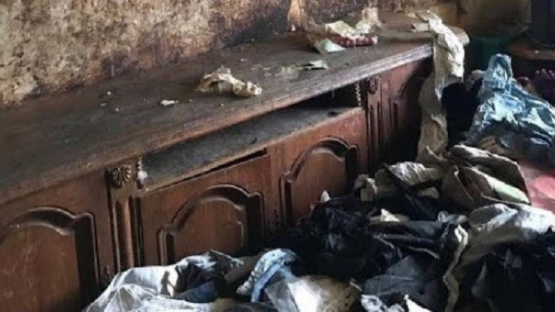 Денесіне алқасы жабысып өсіп кеткен: Мәскеуде пәтерден маугли-қыз табылды (видео) - Қазақстан жаңалықтары