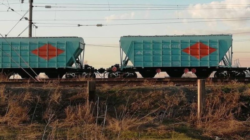 Ақмола облысындағы сенбілік кезінде 14 жастағы оқушы мерт болды