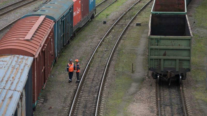 Ақмола облысында мектеп оқушысы сенбілік кезінде тоққа түсіп көз жұмды - Қазақстан жаңалықтары