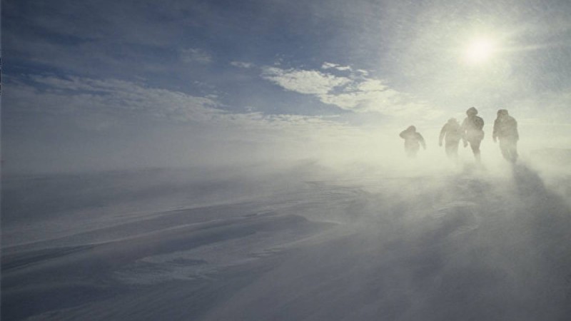 "Қатты айғайладық". ШҚО-да адасқан ауылдықтар қасқырға жем бола жаздады