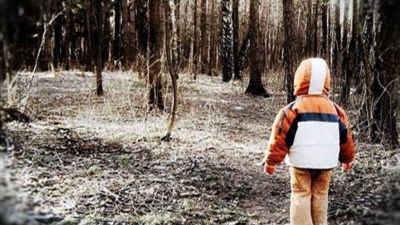 Орманда жалғыз қалып қойған 3 жасар бала аман табылды