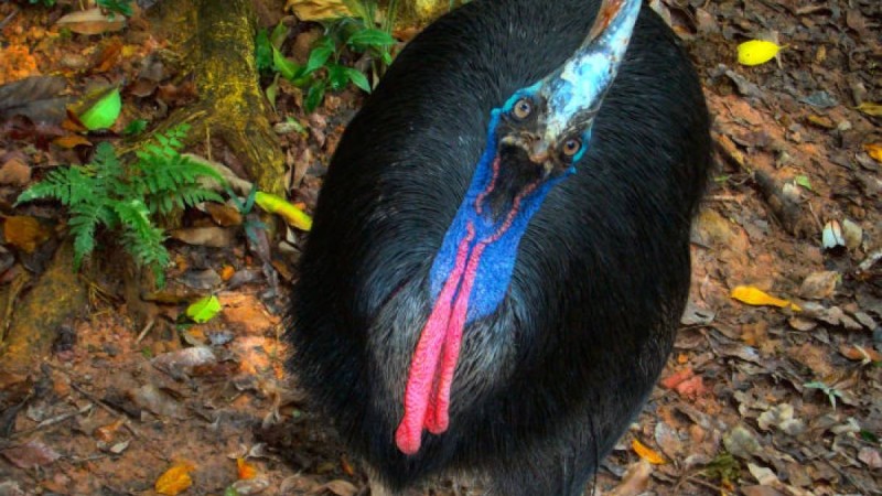 ер адам алған жарақатынан көз жұмды