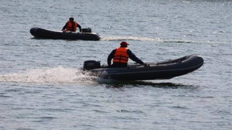 Жамбас сүйектері слайд,презентация