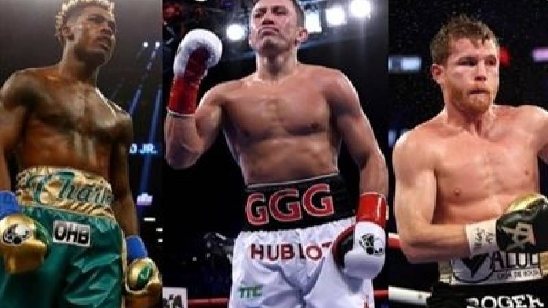 WBC Головкиннің Чарломен және Альвареспен айқастарына қатысты мәлімдеме жасады