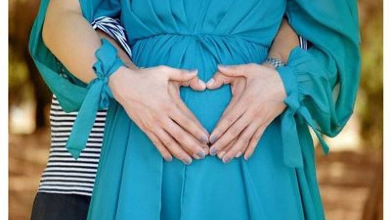 Өсімдіктер мен жануарлар экологиясы слайд,презентация