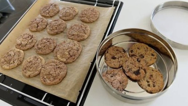 Бойжеткеннің печеньеге деген махаббаты өлімге алып келді - Қазақстан жаңалықтары