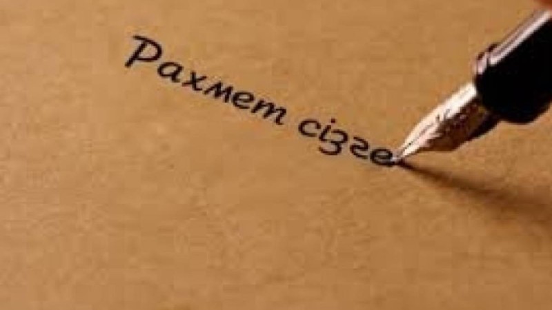 Германияға көшкен азаматтар қазақ халқына алғыс айтып жатыр