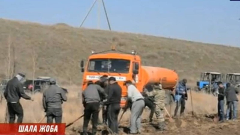 Биліктің ойланбай қабылдаған жобасы: Ақтөбелік шенеуніктер отап тастаған ағаштарды қайта егіп әлек - Қазақстан жаңалықтары
