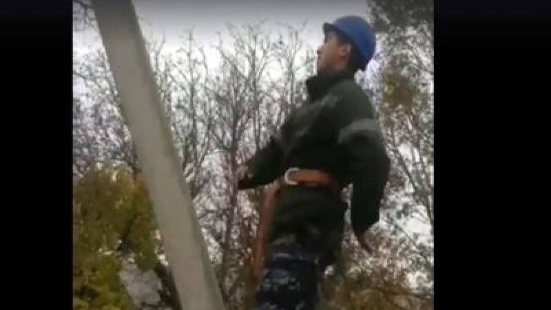 МакГрегорға пародия жасаған электрик жазаланды