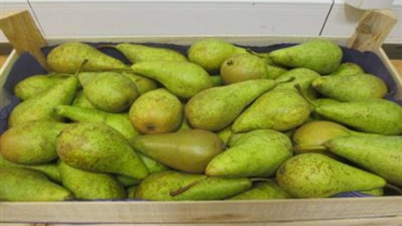 Ішінде ине толы екі қорап алмұрт табылды