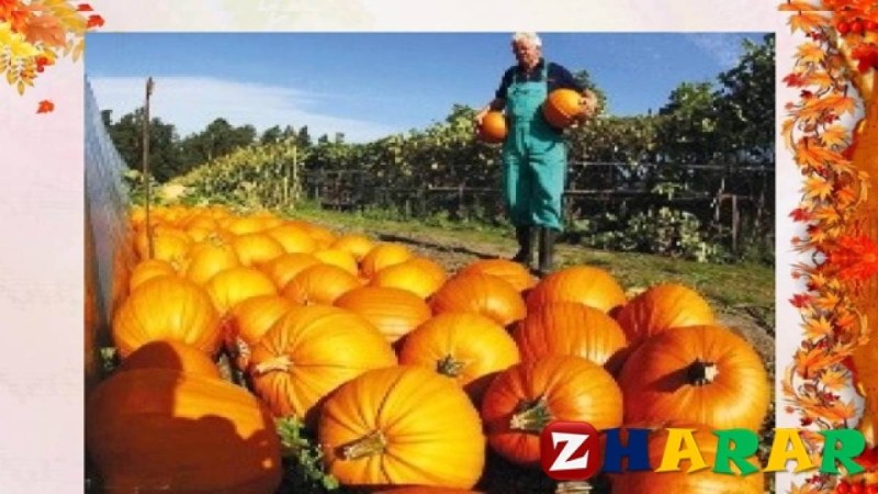 Қазақ тілінен сабақ жоспары: Күзгі еңбек (3 сынып, II тоқсан, 3 бөлім) » ZHARAR