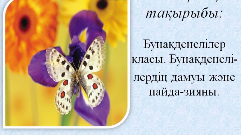 Презентация (слайд): Бунақденелілер класы