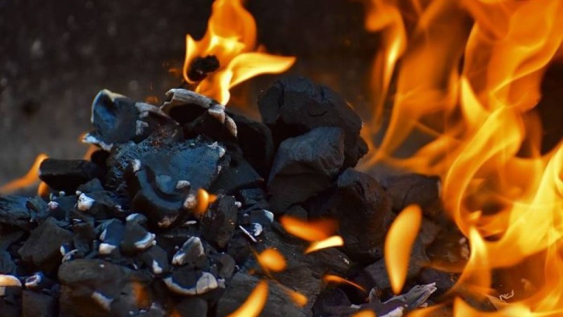 Шымкент жаңалықтары: адамның ішкі ағзаларын көшеде өртеп, қоқысқа тастаған