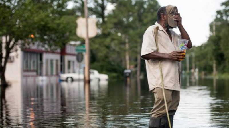 Презентация (слайд): Жылқы шарушылығы және оның негізгі салалары