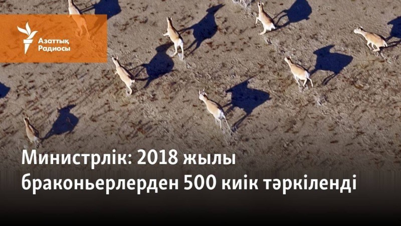 2018 жылы браконьерлерден 500 киік тәркіленді