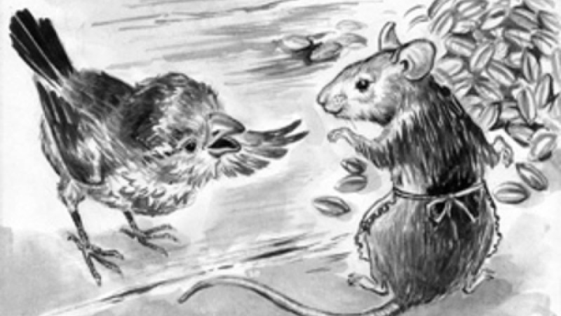 Қазақша ертегі: Торғай мен тышқан - Ертегілер - Bilim