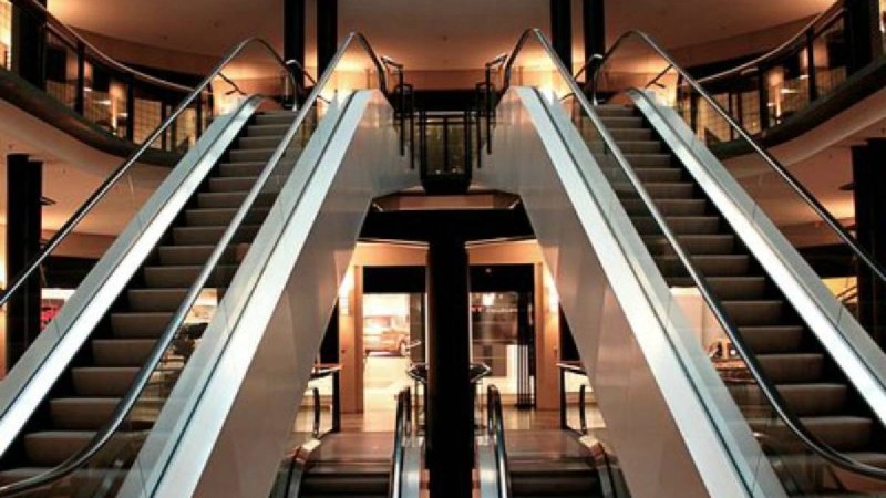 Астанадағы ірі сауда орталықтарының бірінде қыздың үстіне пальма құлады - Қазақстан жаңалықтары