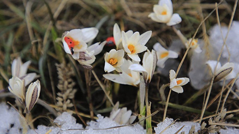 Наурыз айында ауа райы қандай болады