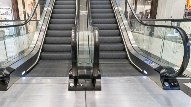 Астанада сауда орталығының бірінде қыздың үстіне пальма ағашы құлады