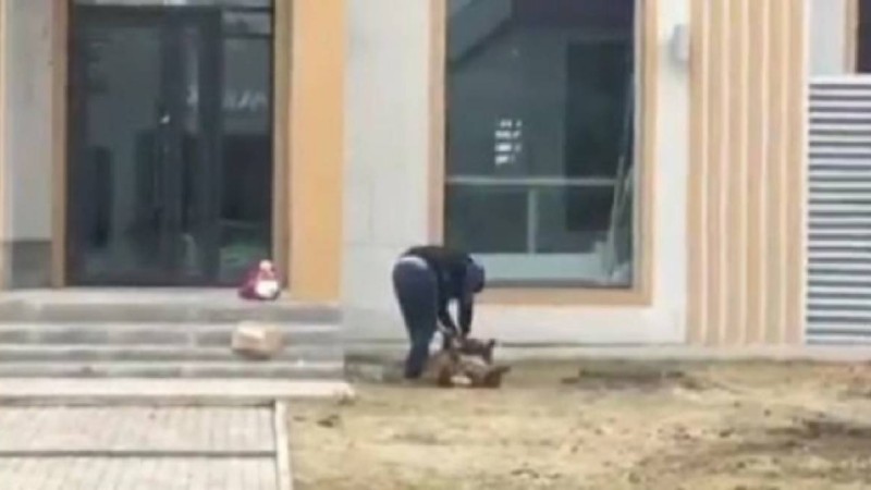 Нұр-сұлтан қаласының орталығында қой сойып, терісін сыпырып алған ер адам елді ашуландырды - Қазақстан жаңалықтары