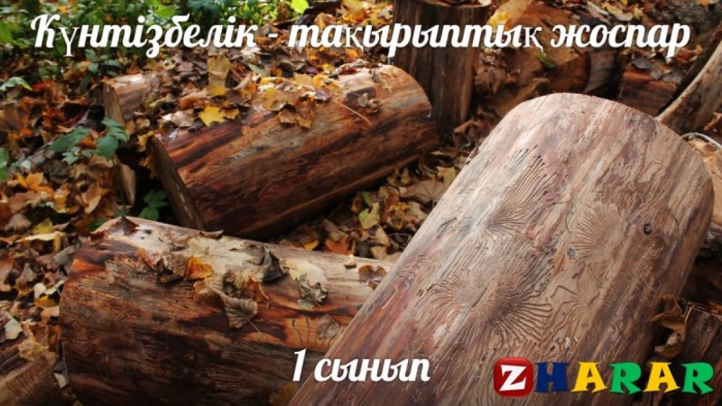 Күнтізбелік - тақырыптық жоспар: Көркем еңбек (Бастауыш 1 сынып)