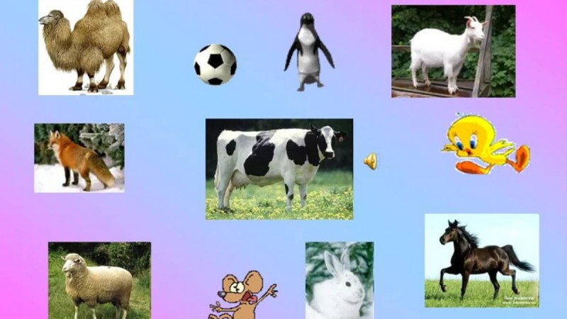 Қазақ тілінен сабақ жоспары: Төрт түлік туралы өлеңдер оқу (2 сынып, IV тоқсан ) » ZHARAR