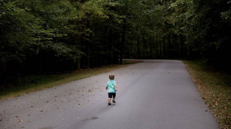 ШҚО-да өз үйінің ауласынан жоғалып кеткен 2 жасар бала әлі табылған жоқ