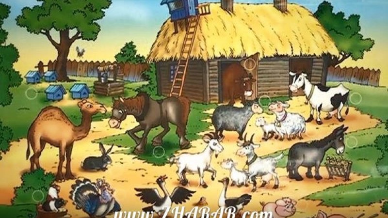 Қазақша Жұмбақ: Төрт түлік мал, жануарлар 