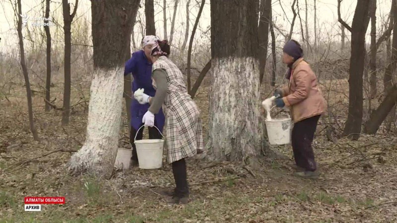 Тоқаев тапсырмасы мұғалімдер мәселесін шеше ме?