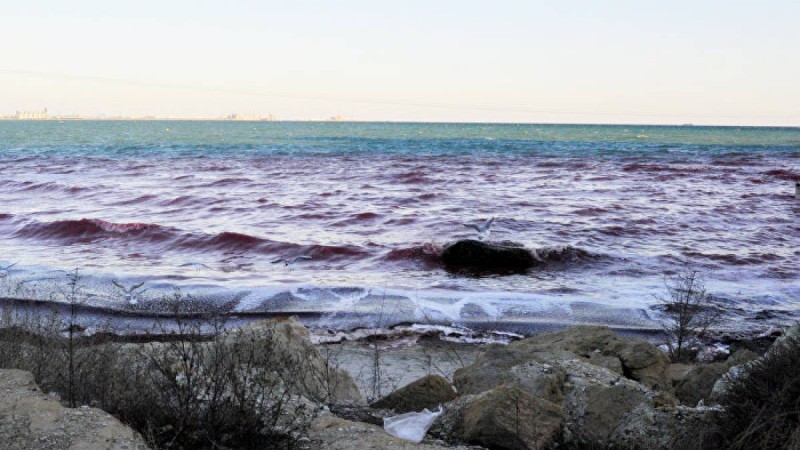 Каспий теңізінде жер сілкінді