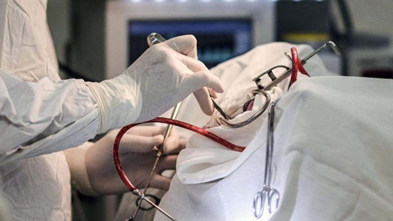 Жас қыз інісін құтқару үшін оқудан бас тартты