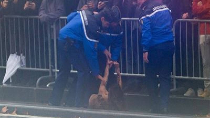 Төсін жалаңаштаған әйел президенттің кортежіне тап берді