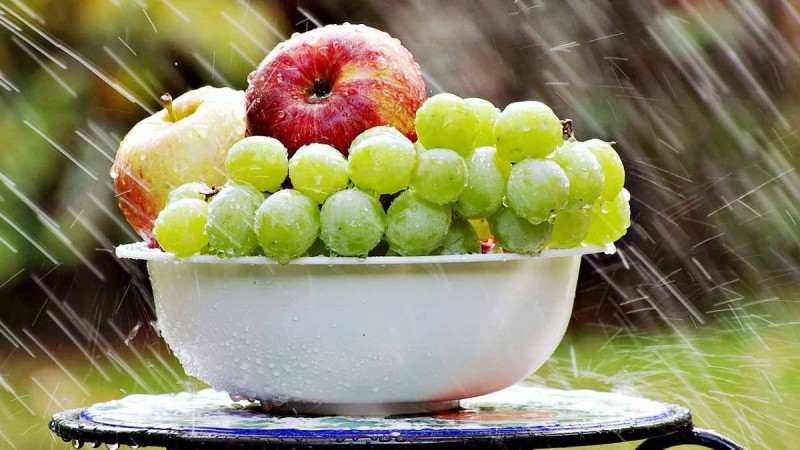 Найзағай ойнап, жел күшейеді: Алдағы үш күнге арналған ауа райы болжамы
Шығыстан өзге өңірлерде ауа температурасы 41 градусқа дейін жетеді