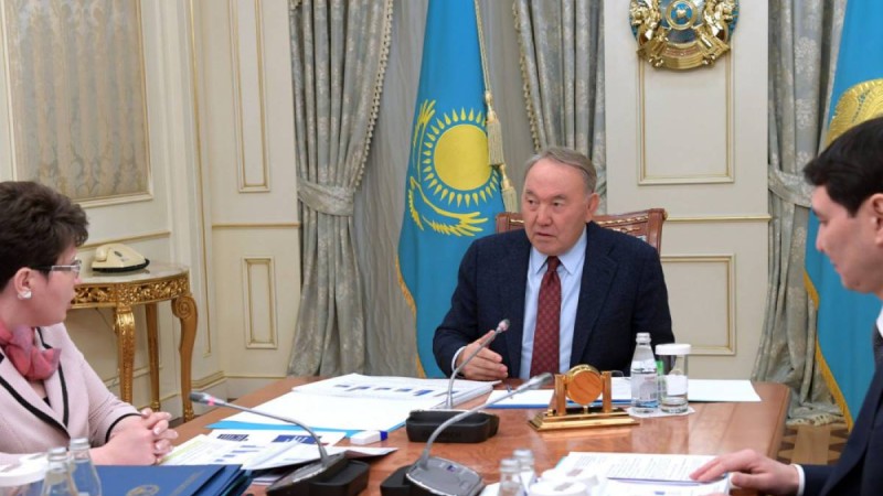 Елбасы Республикалық бюджеттің атқарылуын бақылау жөніндегі есеп комитетінің төрайымын қабылдады