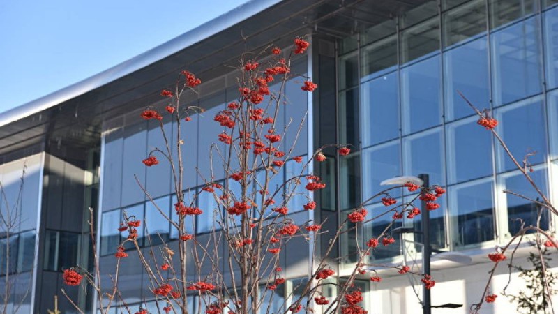 16 тамызда қандай іс-шаралар өтеді