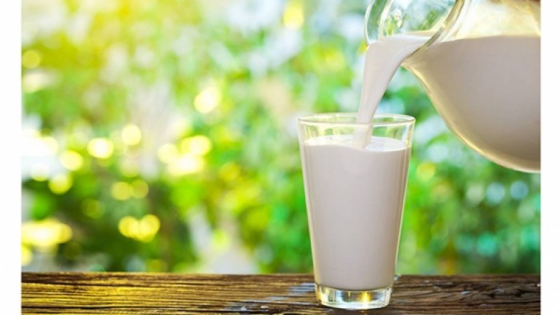 Сүт – сүйекті нығайтады |