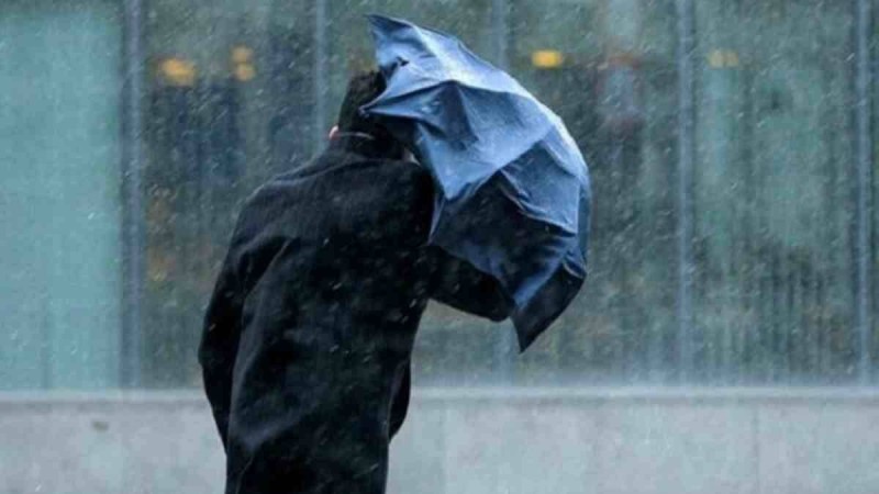 Дауылды ескерту: Бірер сағаттан соң Ақмола облысында қатты дауыл соғып, күн күркірейді - Қазақстан жаңалықтары