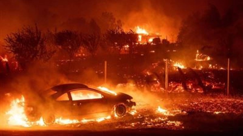 Орман өртеніп, 25 адам қаза тапты