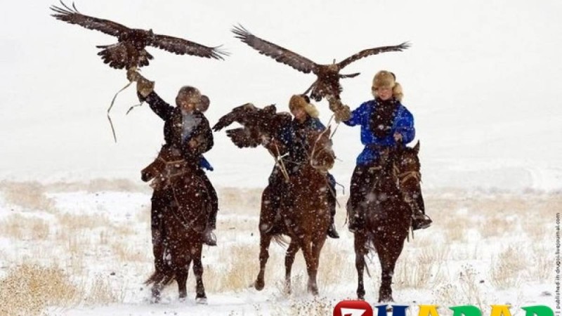 Ұлттық ойын: Бүркіт