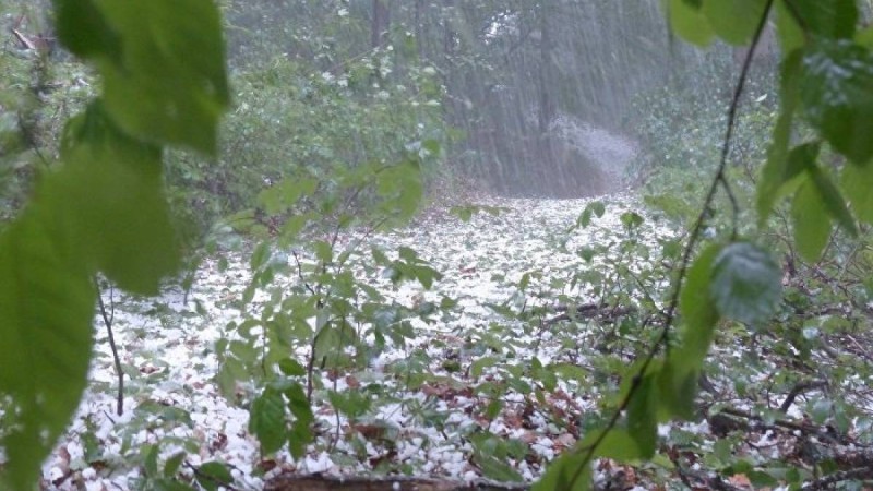 Ертең дауыл тұрып, нөсер жаңбыр, бұршақ жауады